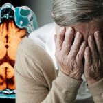Bệnh mất trí Alzheimer: nguyên nhân, dấu hiệu và cách điều trị