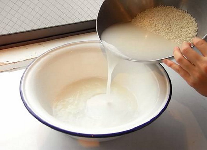 Điều trị mụn gạo tại nhà bằng nước vo gạo