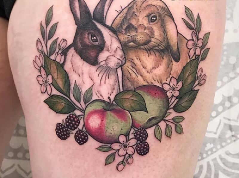 Hình hai chú thỏ và hoa quả