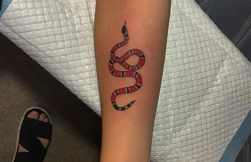 Tattoo rắn