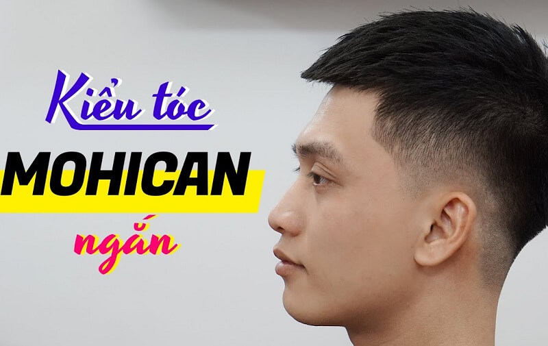 toc-mohican-ngan-1