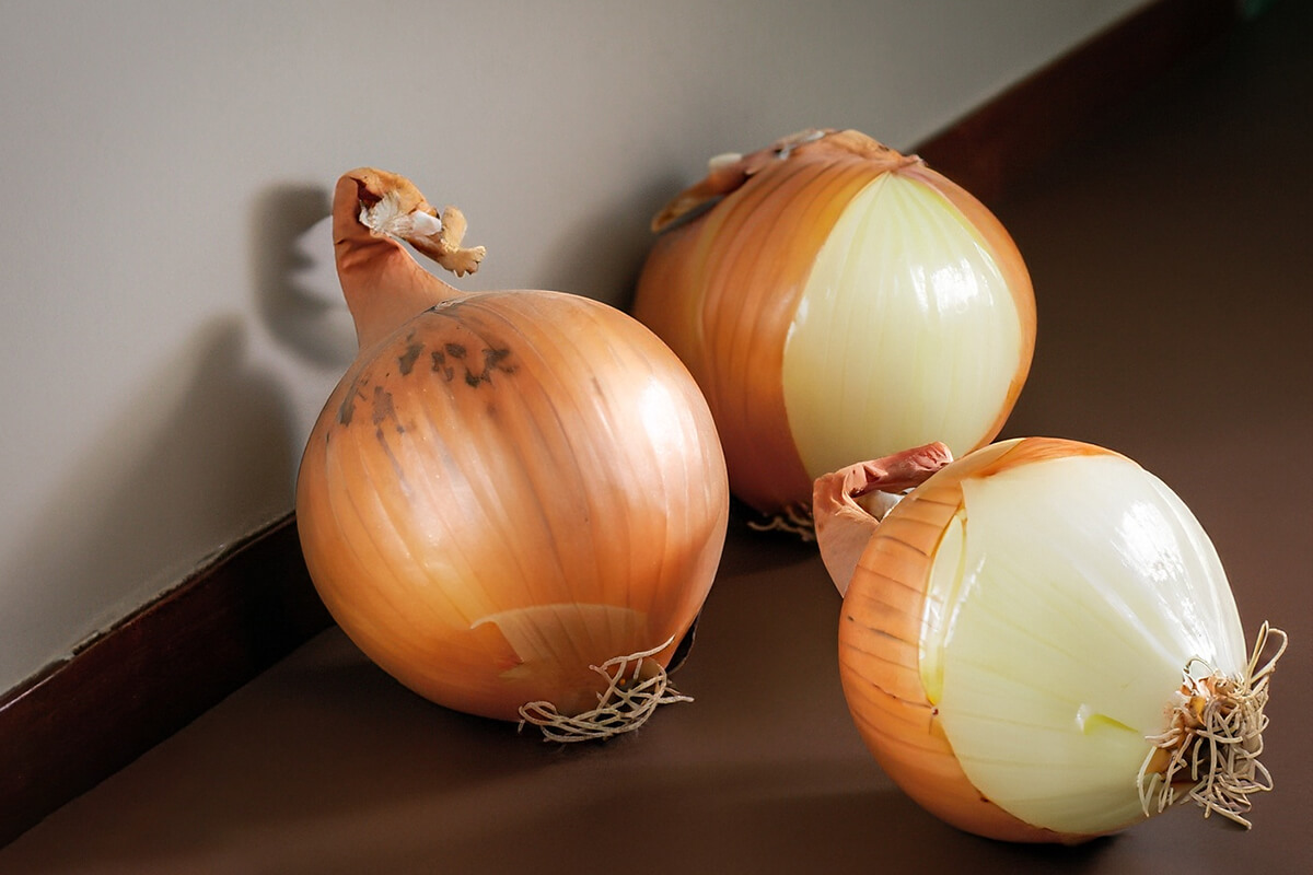 Tiêu diệt gián trong phòng ngủ bằng hành tây