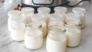 Cách làm sữa chua không đường